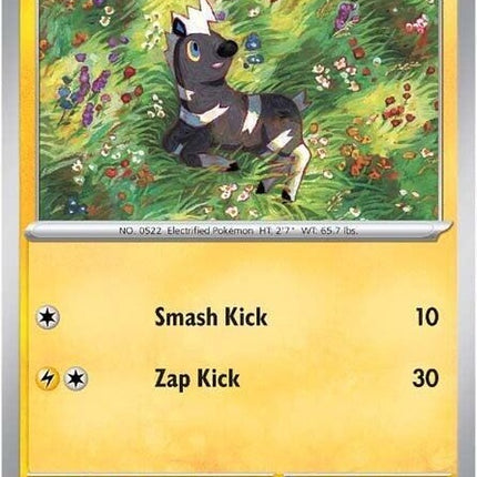 31-blitzle