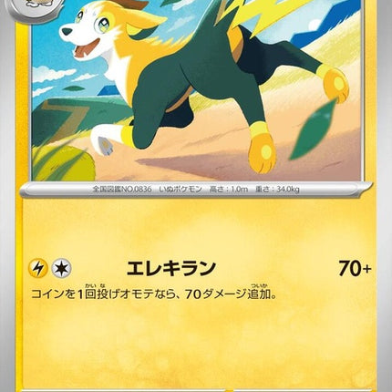 31-boltund