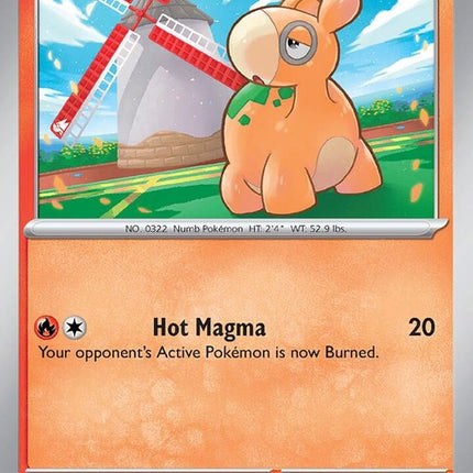 31-numel