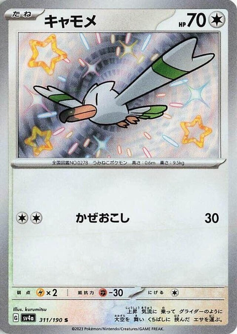 311-wingull