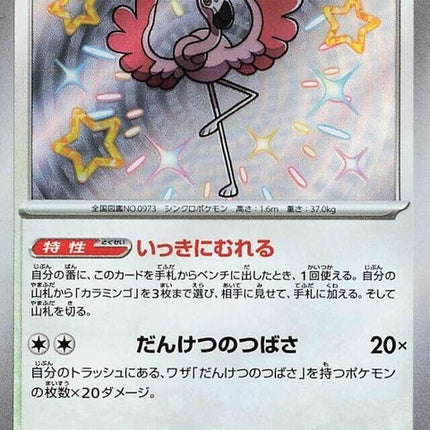 319-flamigo