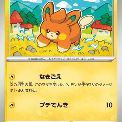 32-pawmi