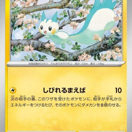 33-pachirisu
