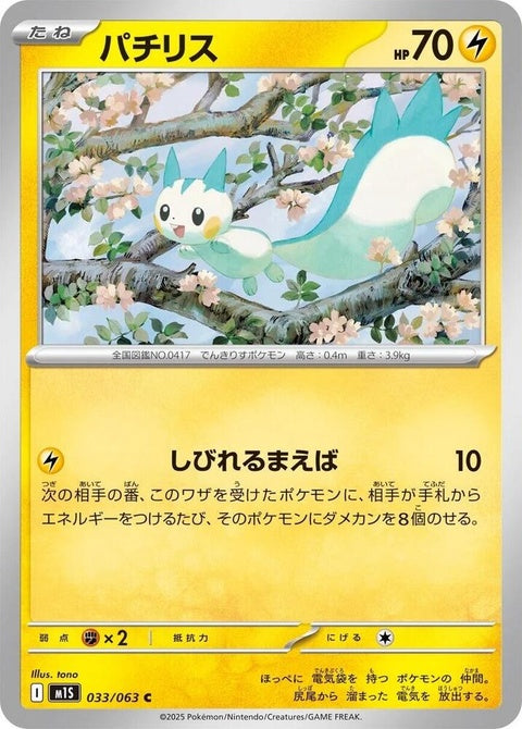 33-pachirisu