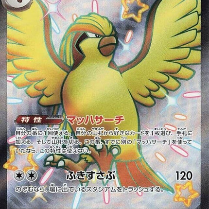 335-pidgeotex