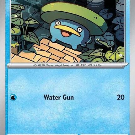35-lotad