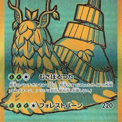 355-wochienex