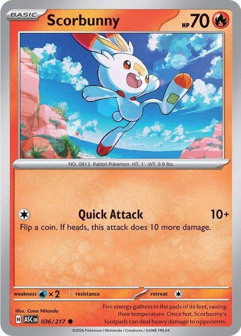 36-scorbunny