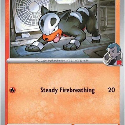 37-teamrocketshoundour