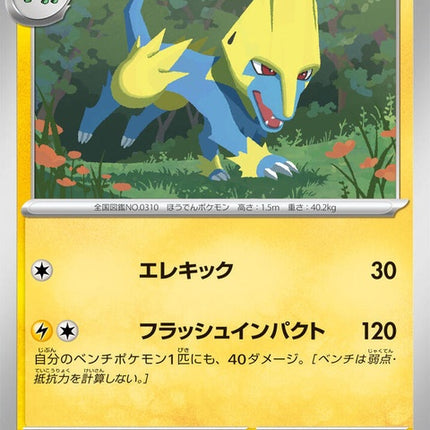 38-manectric
