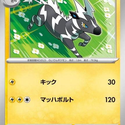 39-zebstrika
