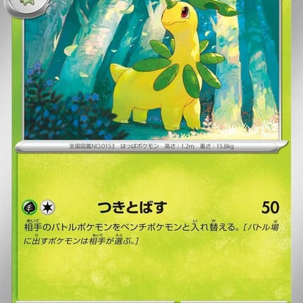 4-bayleef