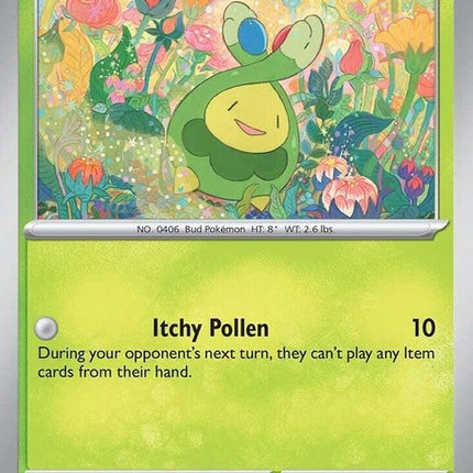 4-budew