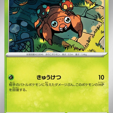 4-paras