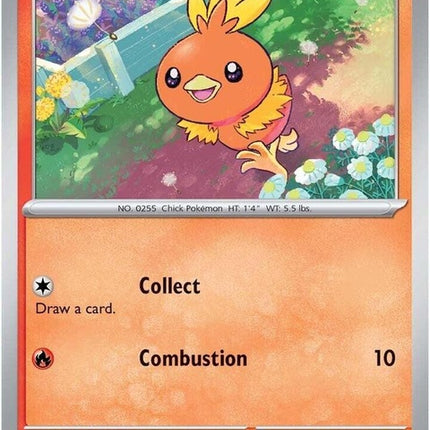 40-torchic