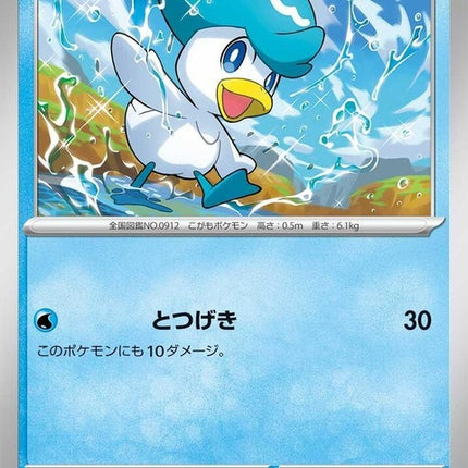 41-quaxly