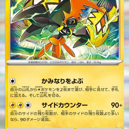 41-tapukoko
