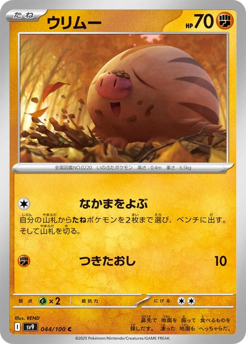 44-swinub
