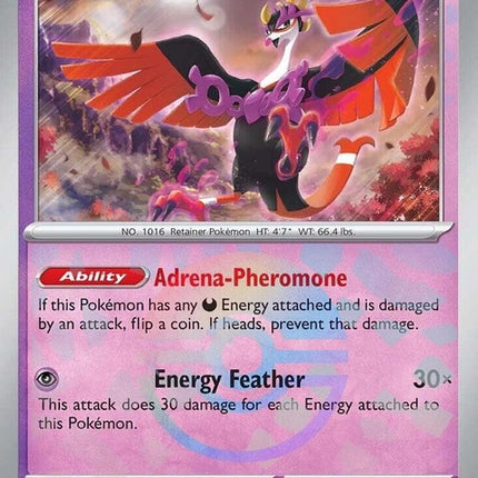 45-fezandipiti-pokeballpattern