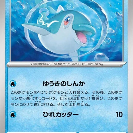 46-finizen