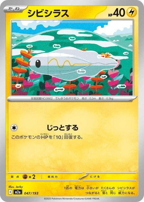 47-tynamo