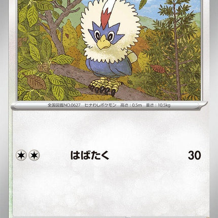 49-rufflet