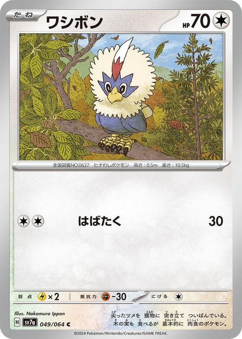 49-rufflet