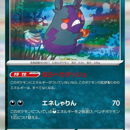 51-morpeko