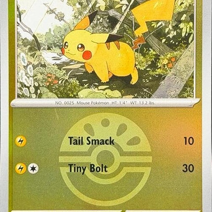 55-pikachu-friendball