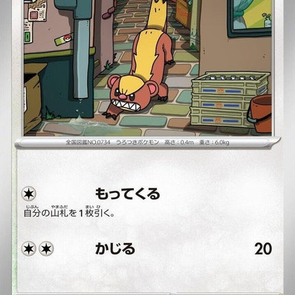 55-yungoos
