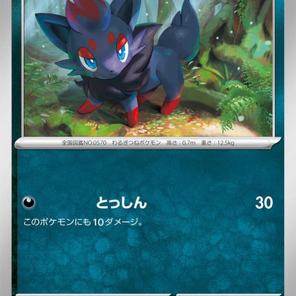 58-zorua