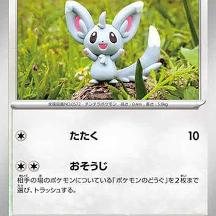 59-minccino