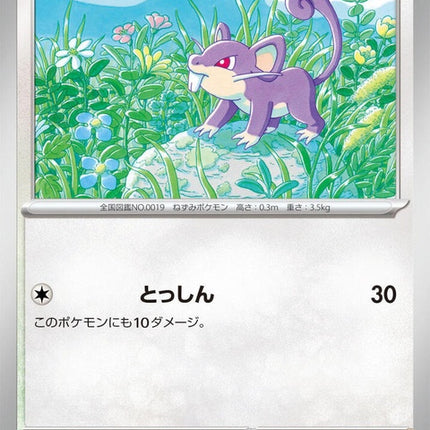 59-rattata