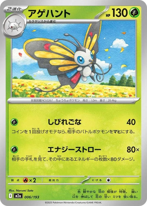 6-beautifly