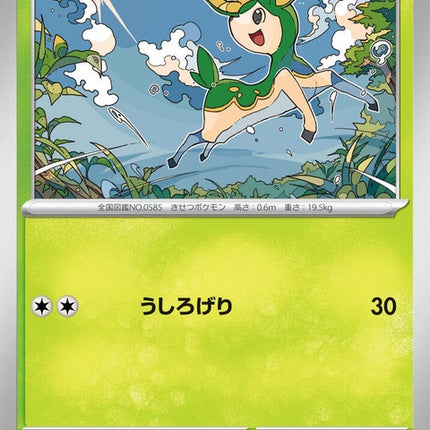 6-deerling