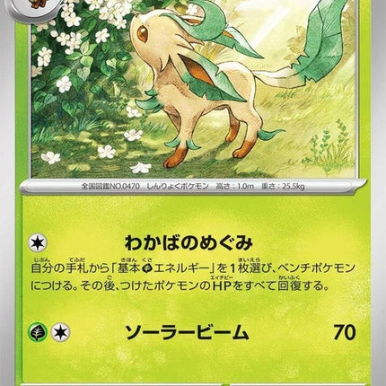 6-leafeon