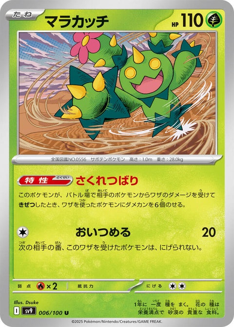 6-maractus