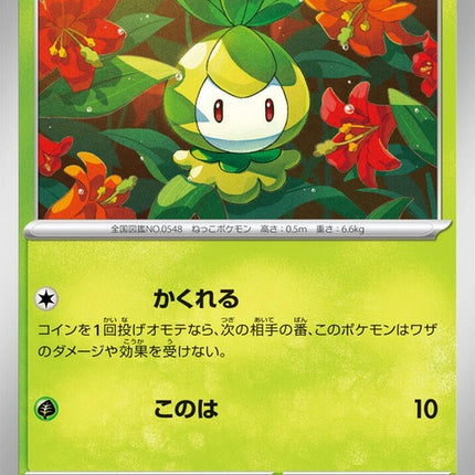 6-petilil