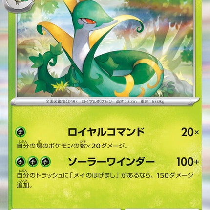 6-serperior