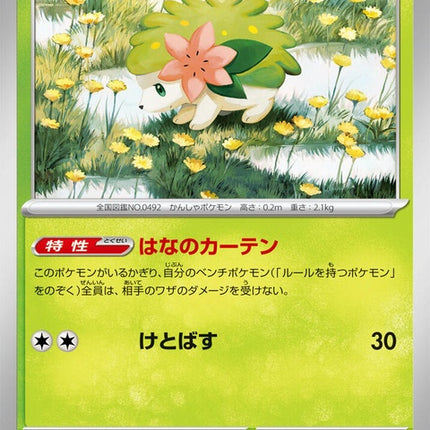 6-shaymin