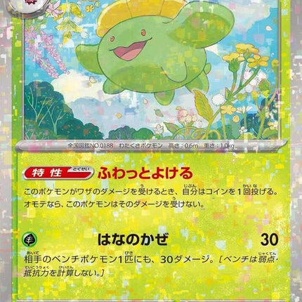 6-skiploom-mirrorholofoil