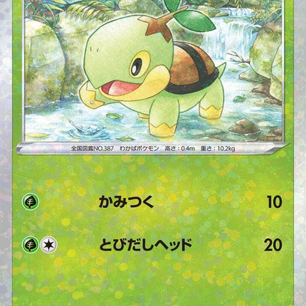 6-turtwig-mirrorholofoil