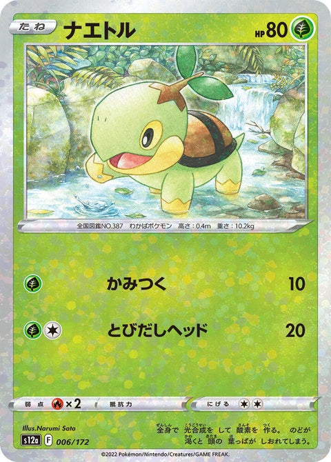 6-turtwig-mirrorholofoil