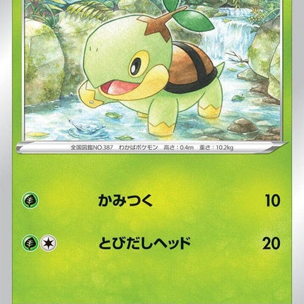 6-turtwig