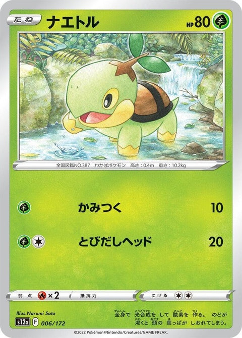 6-turtwig