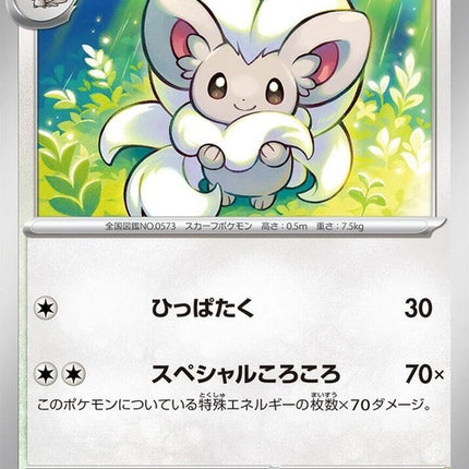 60-cinccino