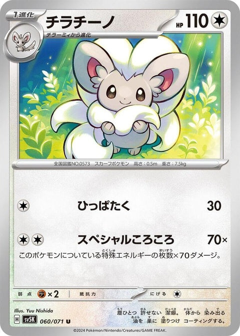 60-cinccino