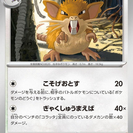 60-raticate