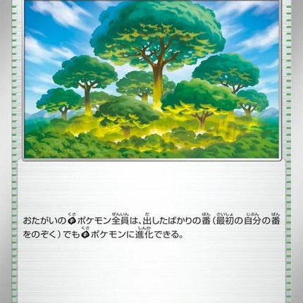 61-vitalityforest