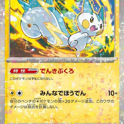 62-pachirisu-mirrorholofoil